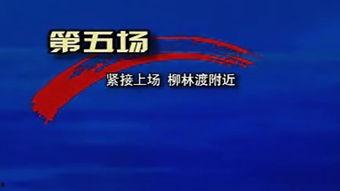 奇米网国产,探索本土创意与创新的无限可能